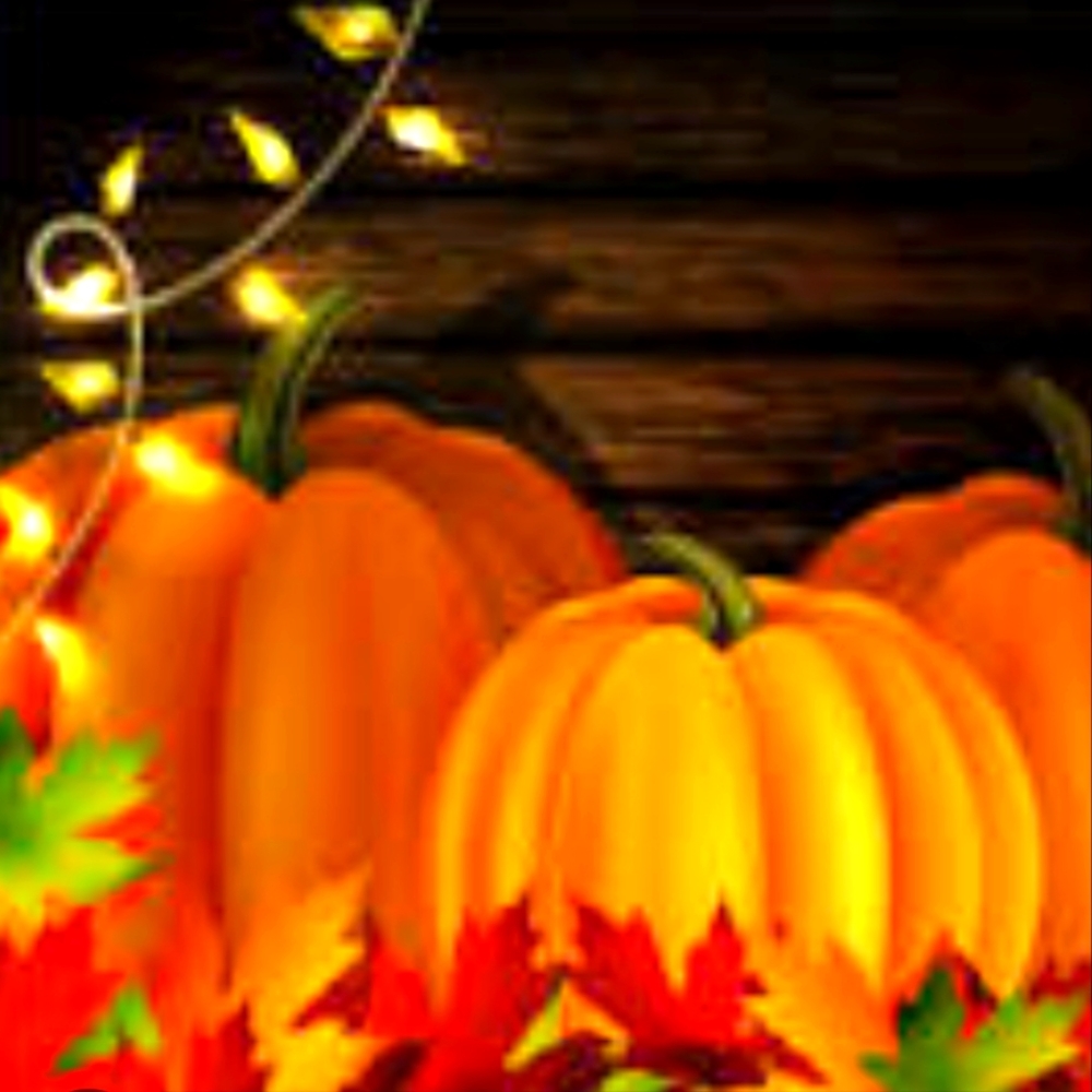 🍁 Fall is coming!! 🍁